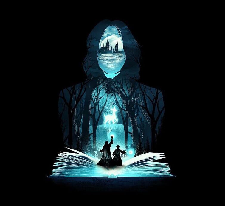 Fandom Image