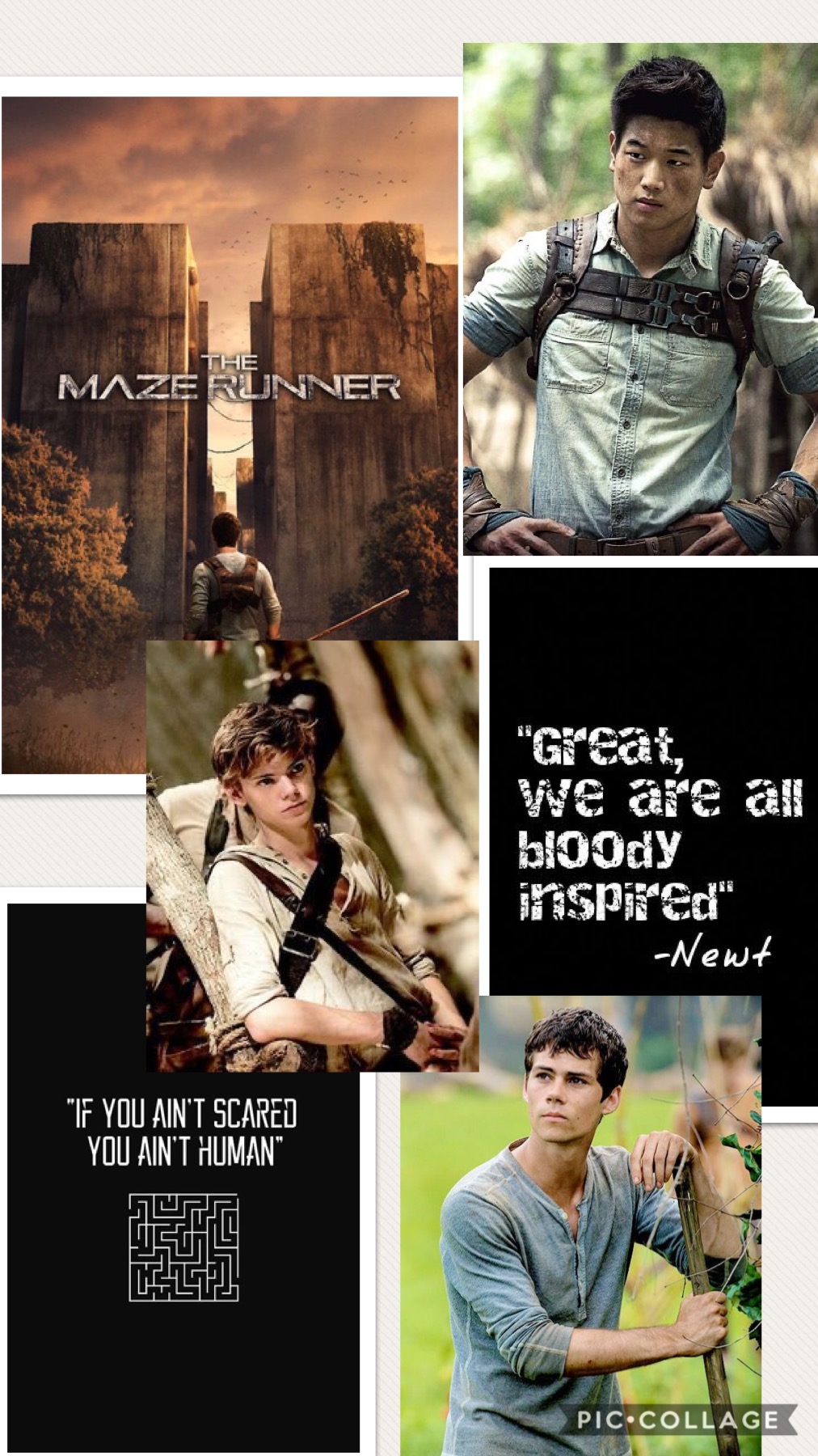 maze runner background