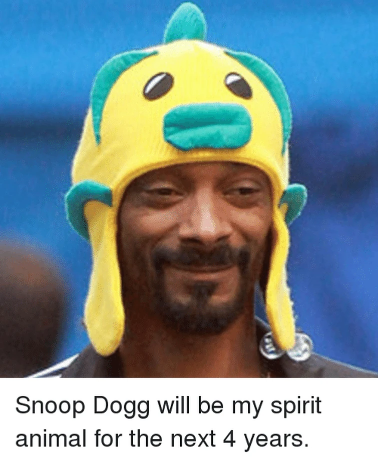 what the dog doin? Fandom