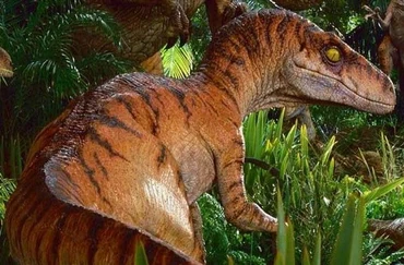 Raptor pack who would win? | Fandom