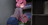 Splitnut's avatar