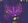 BloxdSpectrum92