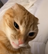 Randomguy224411's avatar