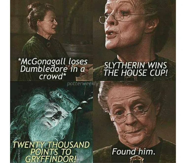 HARRY POTTER MEMES #6 