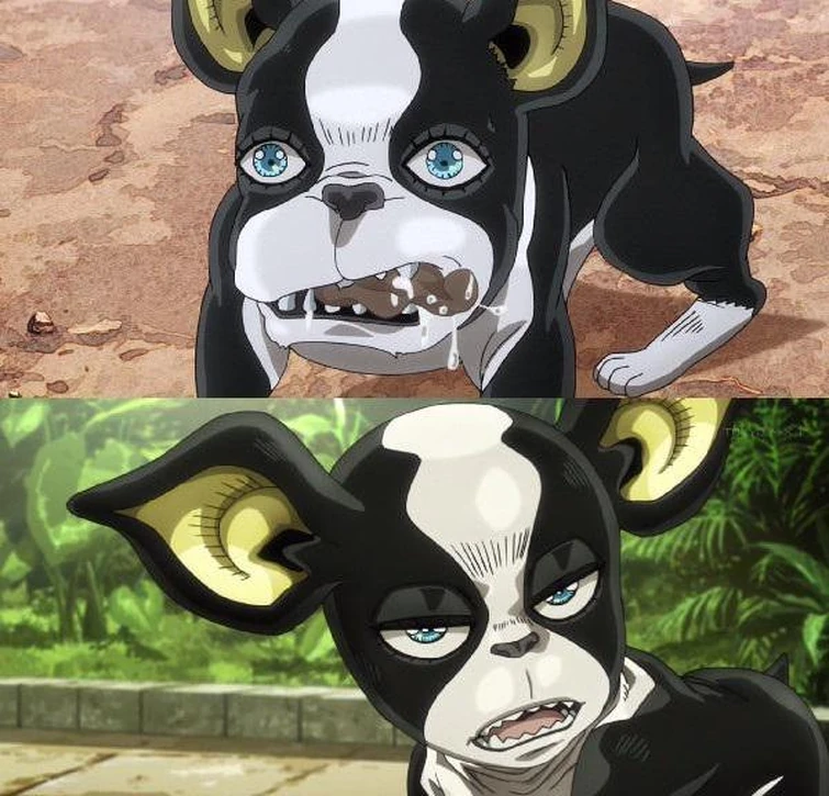 Sooo what's with Iggy's art style change in SC?? Fandom