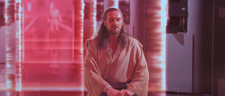 ArchyAngy on X: Qui-Gon Jinn. Unfortunately he's most known for being  stabbed by Darth Maul. Qui-Gon was one of the most balanced Jedi. He  carried an independent view of the force which