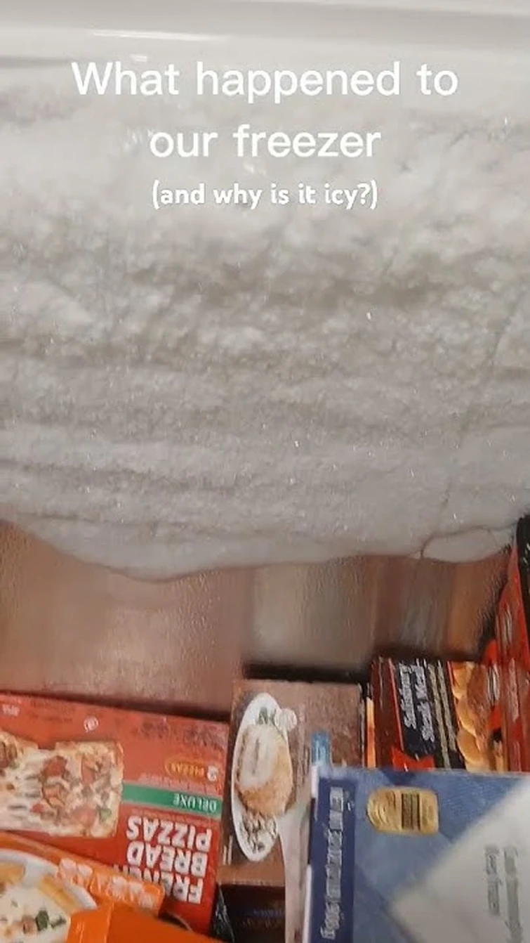 Can someone tell me why the deep freezer is like this? #deepfreezer #icy #edit #food #notakid #short