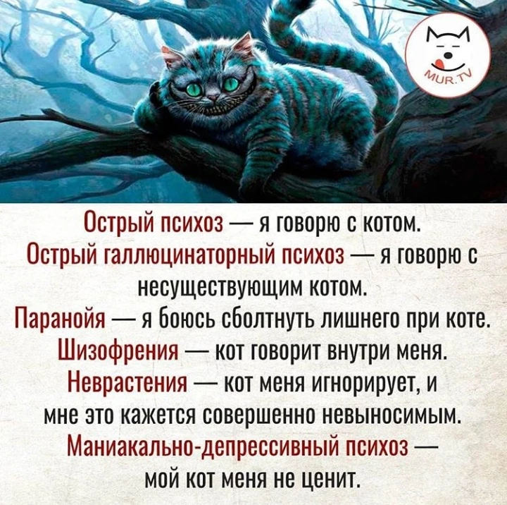 0e3e89ee-0ce8-47fb-9ff7-a862d49814e2