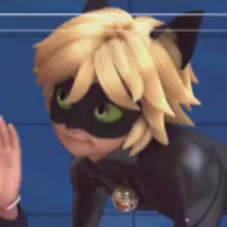 Put Funny Pictures Of Cat Noir On This Post Fandom