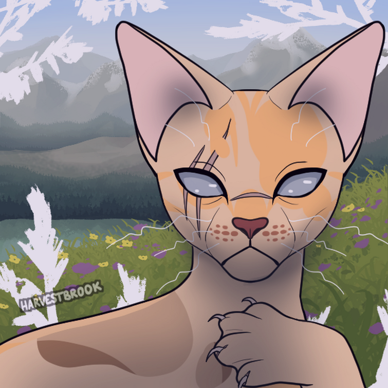 feliday ✦ on X: my warrior cats picrew probably    / X