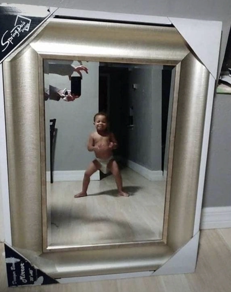 People trying to sell mirrors Fandom