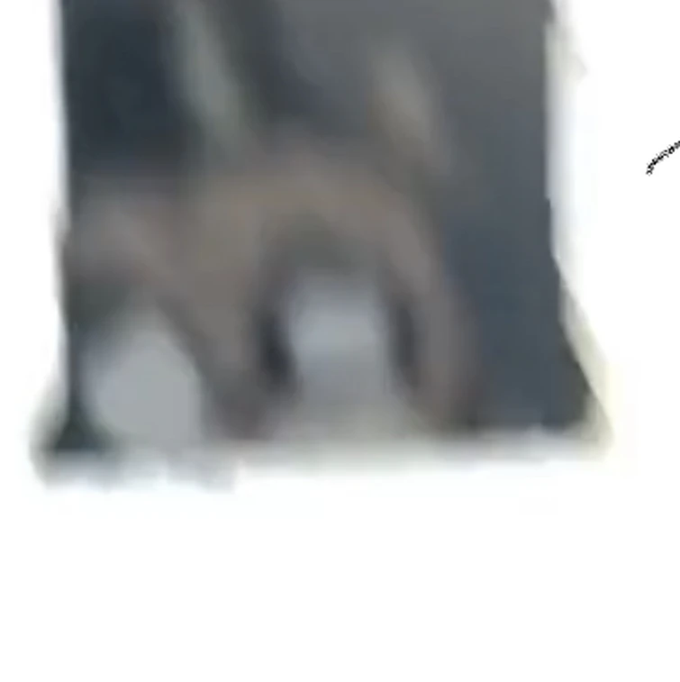 What happens if you flashbang a todler Fandom