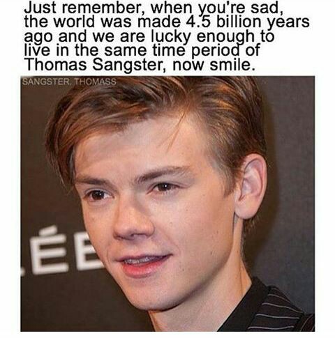 Imagines Thomas B. Sangster  Thomas brodie sangster, Thomas brodie  sangster imagines, Thomas sangster