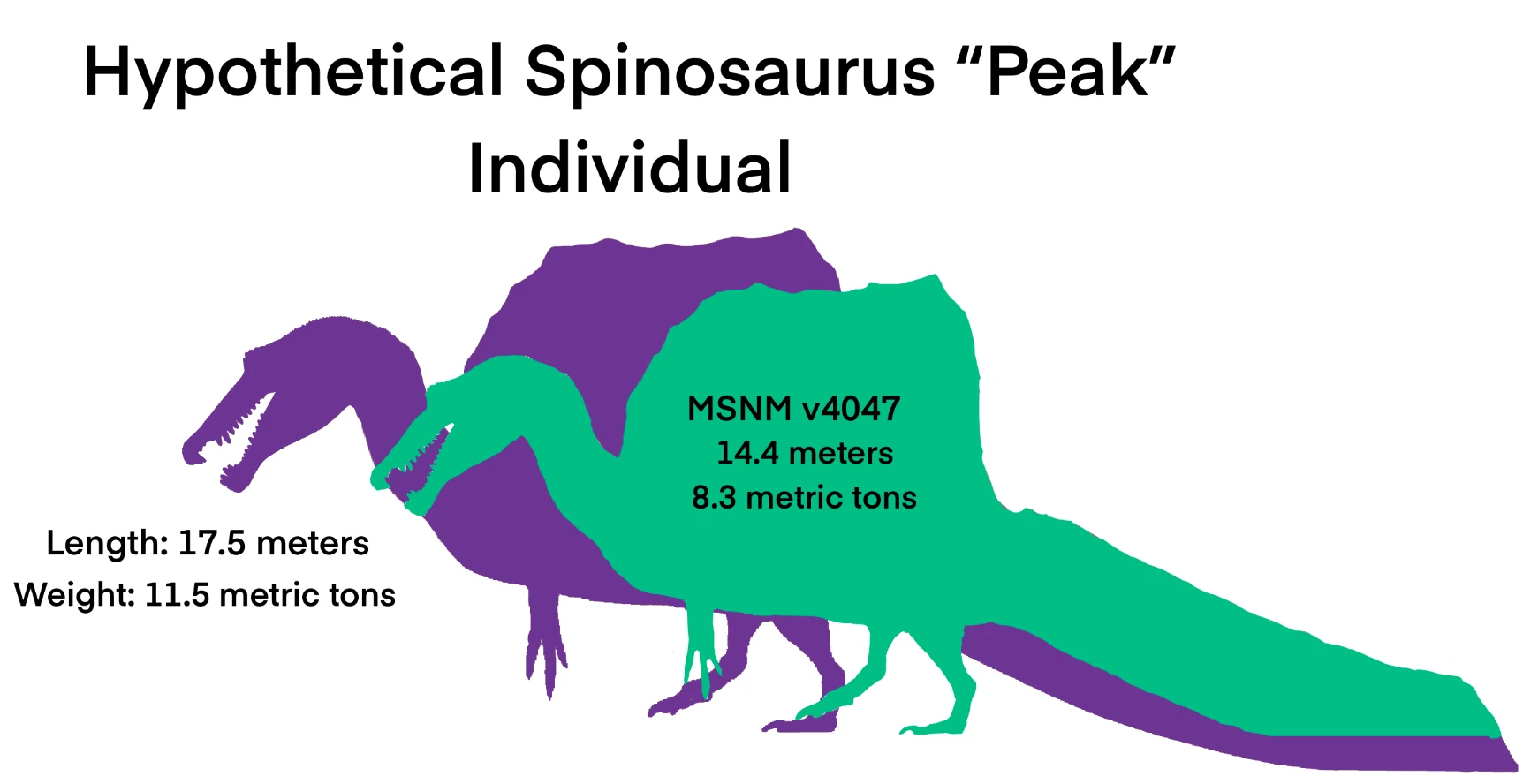 Hypothetical “Peak” Spinosaurus Individual Fandom