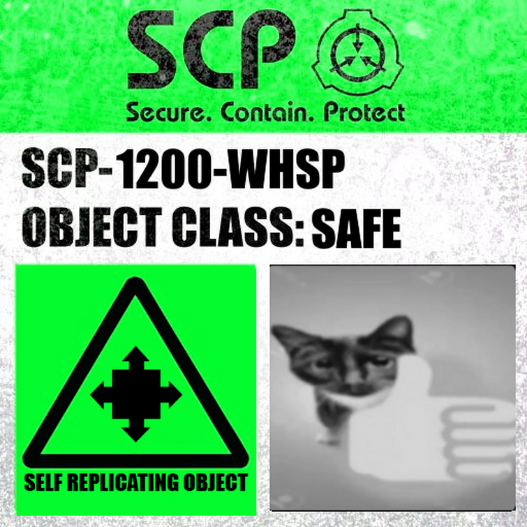 scp 9999