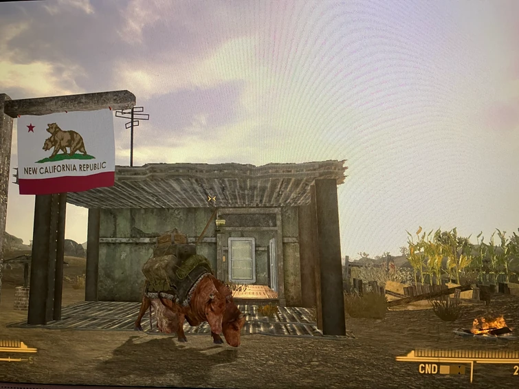 Used RTS to make myself a nice little player home in Goodsprings | Fandom