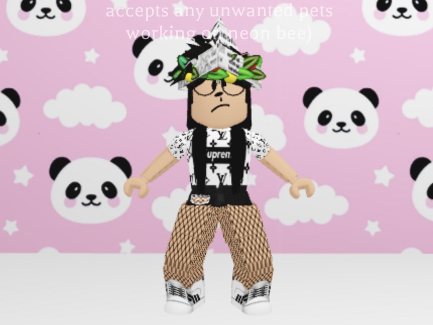 Making Fan Art Just Comment A Picture Of Ur Roblox Avatar And I Will Try To Draw It Fandom - roblox panda avatar