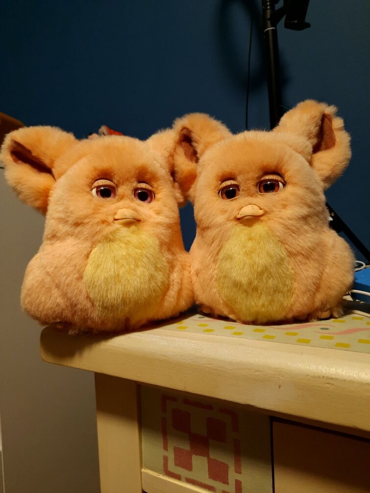Fandom Image