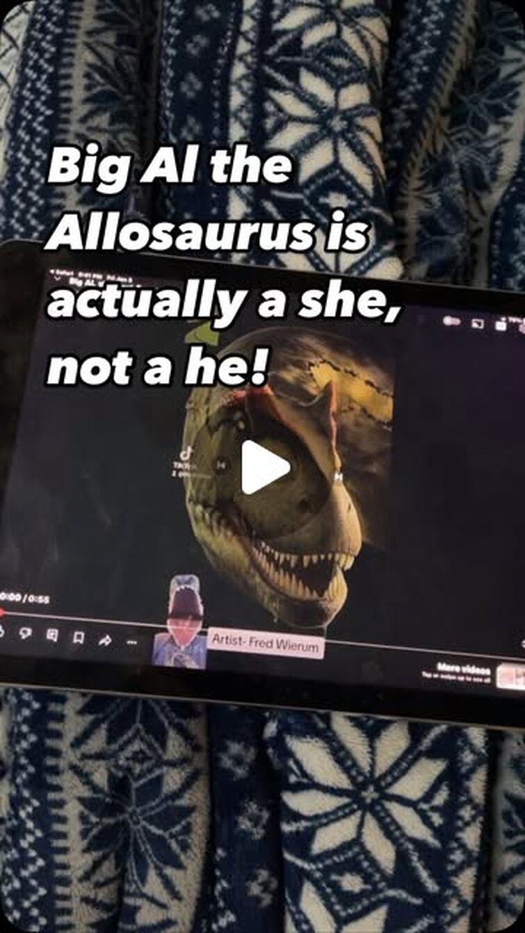 Chas Alaimo on Instagram: "Big Al the Allosaurus is actually a she, not a he like The Ballad of Big Al documentary from the Walking with series has lead you to believe. This is because a 2022 study found medullary bone associated with Big Al meaning tha...