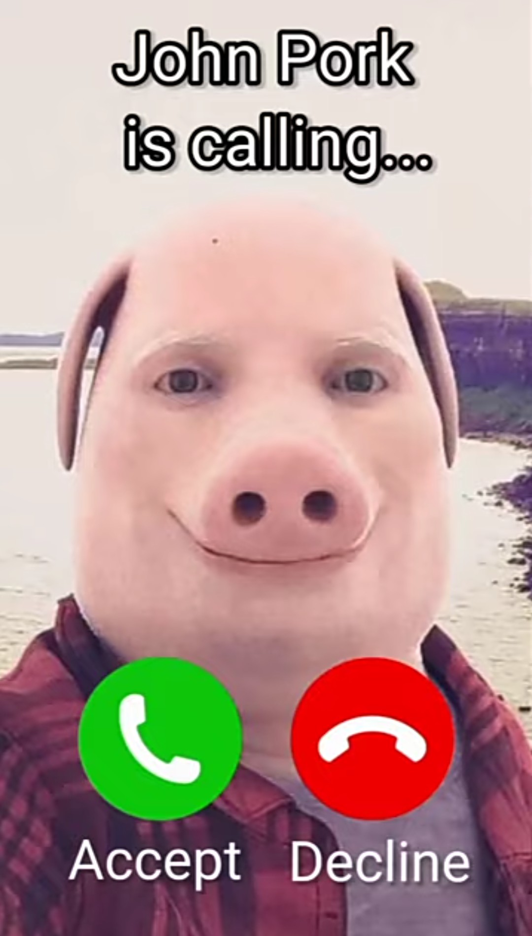 John Pork - Roblox