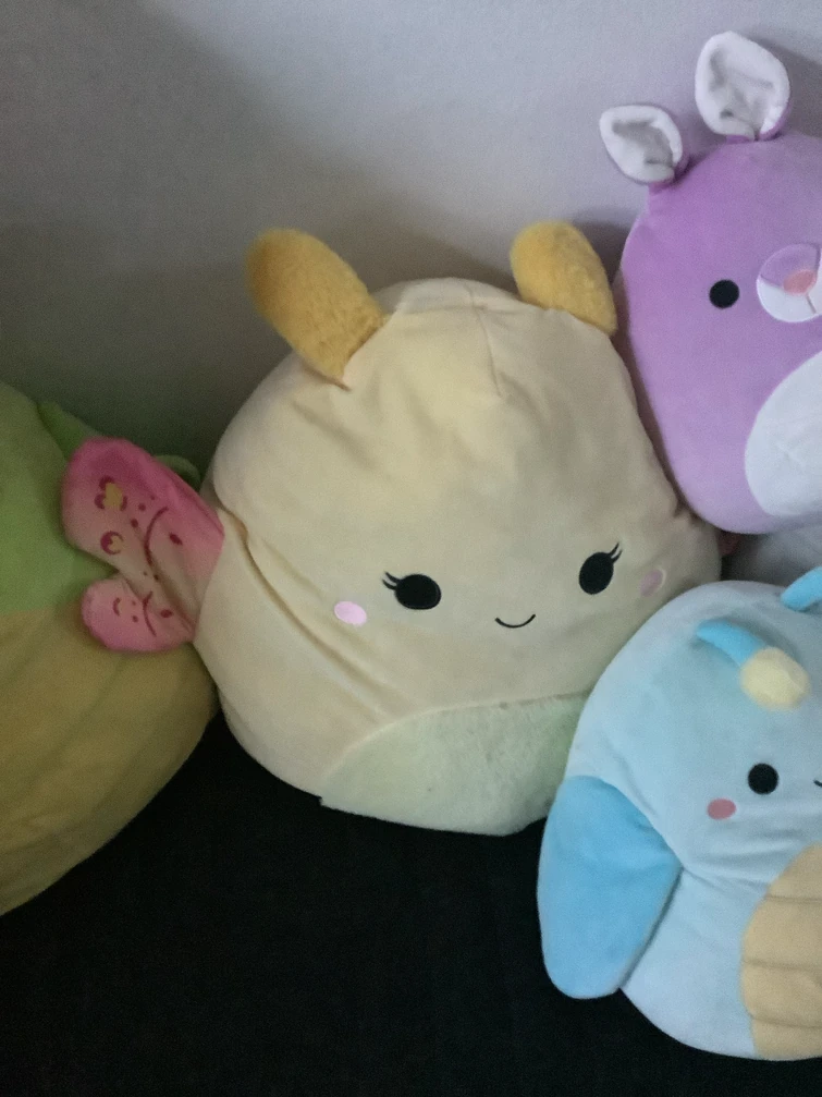 What squishmallow is your name twin? Fandom