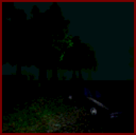 1999 Forest Level