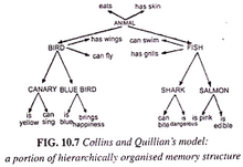 Collins and Quillian.png
