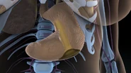 Screenshot 20240305 184906.png (905 KB)