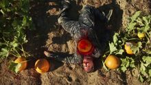 Fatally Gourd.jpg