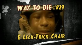 829 E-Leck-Trick Chair