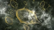 The effects of how sarin gas can attack the central nervous systems and cause a loss of muscle control