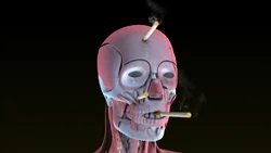 fake cigarettes halloween Amazon.com: Playbees Fake Puff Cigarettes That Blow Smoke - 8 Pack - 3.25 Inch Faux Cigs with a Realistic Look - Prop for Prank, Halloween Costume, Movie, or Theater Play fake cigarettes halloween Amazon.com: Playbees Fake Puff Cigarettes That Blow Smoke - 8 Pack - 3.25 Inch Faux Cigs with a Realistic Look - Prop for Prank, Halloween Costume, Movie, or Theater Play