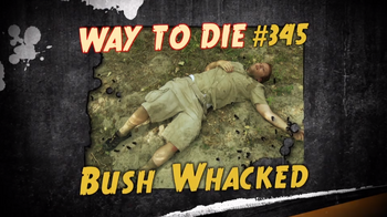 Bush Whacked