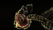 ...it cracks the back of his skull, causing his brain to be herniated...