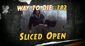Way to die 382