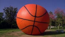 Gasketballed.jpg