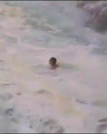 Hawaii rescue.png