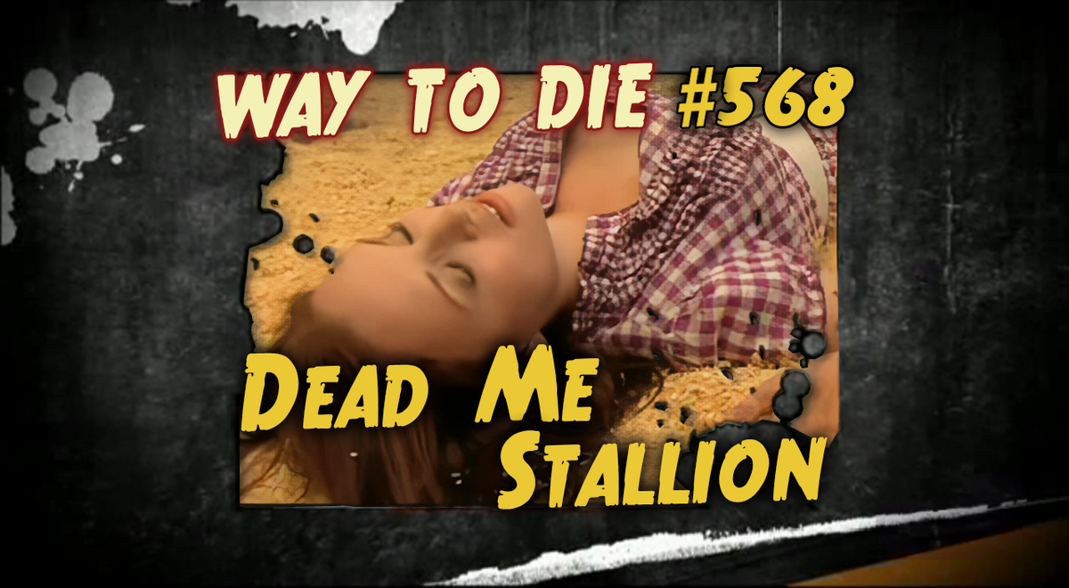 Dead Me Stallion | 1000 Ways To Die Wiki | Fandom