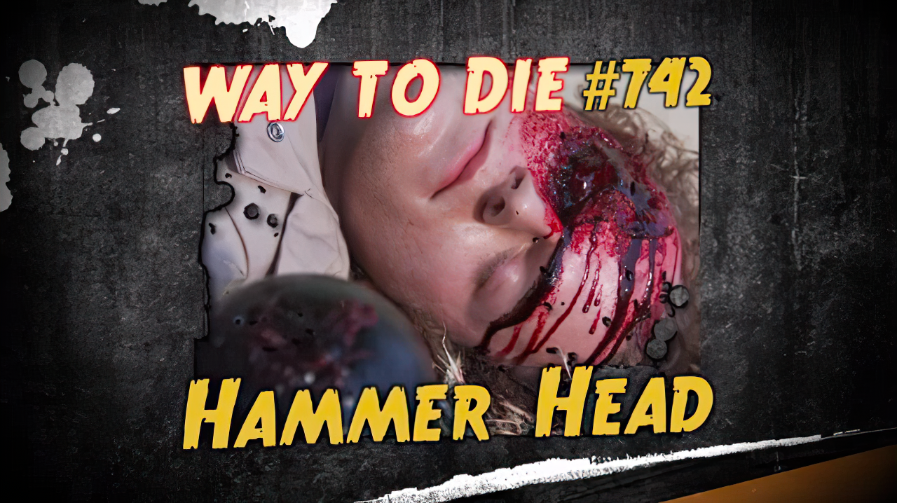 1000 Ways To Die Hammer Head | 1000 Ways To Die Wiki | Fandom