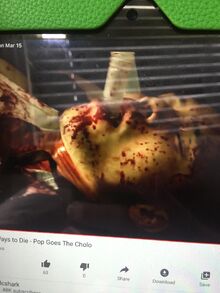 BC6D0042-00F8-41EA-8559-392A9AA0C7E3.jpeg
