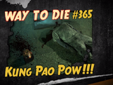 Kung Pao Pow!!!