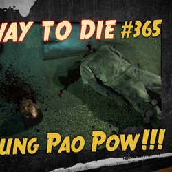 Kung Pao Pow!!!