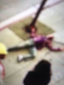 DB5B0BF6-23B7-477E-B833-16F057E4A2CB.jpeg