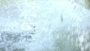 ...only to drown and be left confused to his death.