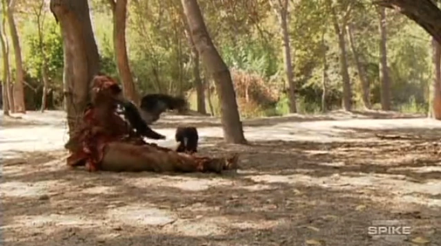 Fur Burger 1000 Ways To Die Wikia Fandom