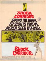 Shock Corridor