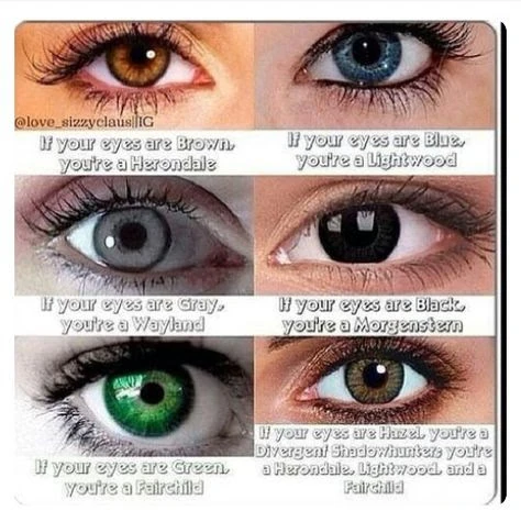 Which Shadowhunter Family Do You Belong To?? | Fandom