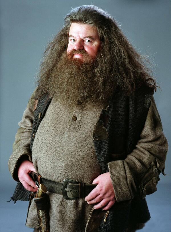 Rubeus Hagrid cosplay the Harry Potter movies. Cosplay was recorded at