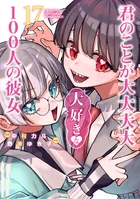Volume 17 Cover
