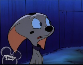 Cadpig.png